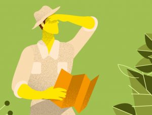 Content creation in times of crisis: what path you should take?