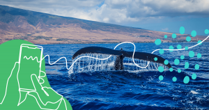 Using Long-Tail Keywords to Boost Organic SEO Results